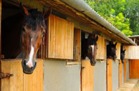 free Scackleton stable construction quotes